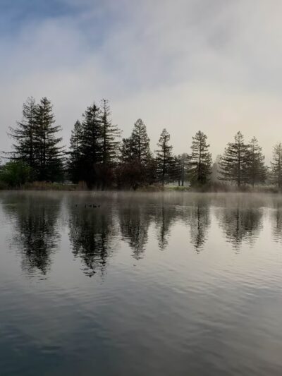 Roberts Lake - Rohnert Park, CA