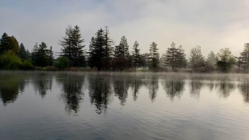 Roberts Lake - Rohnert Park, CA