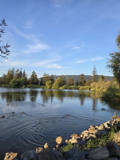 Roberts Lake - Rohnert Park, CA