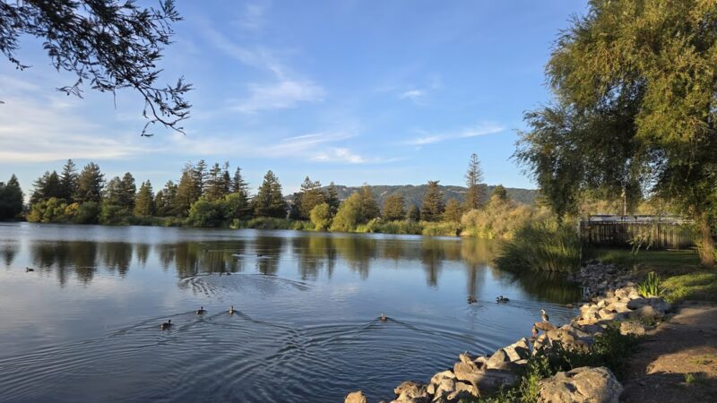 Roberts Lake - Rohnert Park, CA