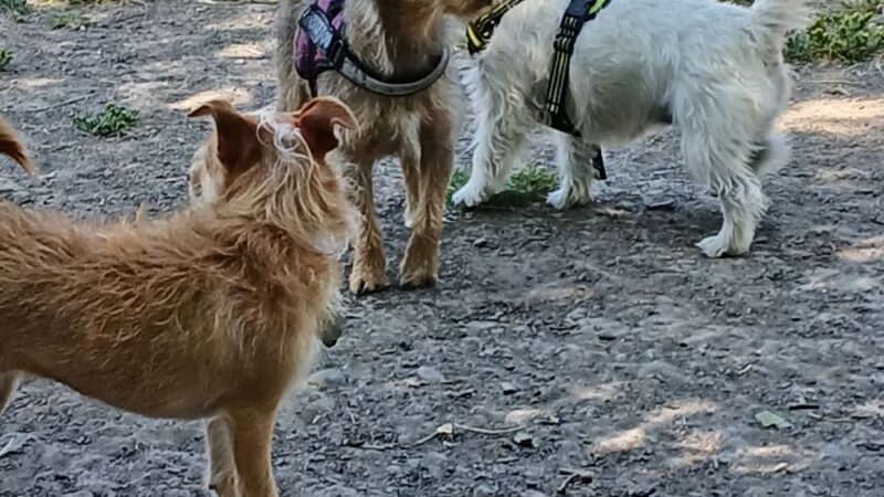Roberts Lake Park - Rohnert Park, CA