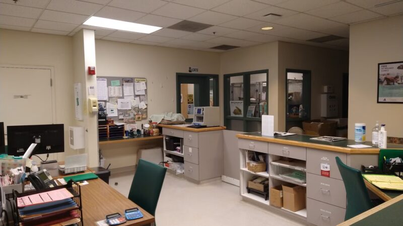 Rohnert Park Animal Services - Rohnert Park, CA