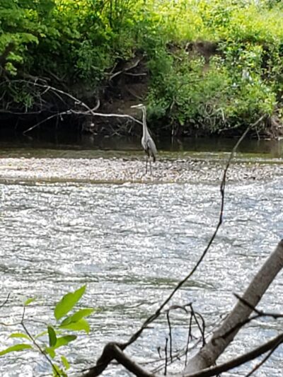 Mohawk River Trail - Rome, NY