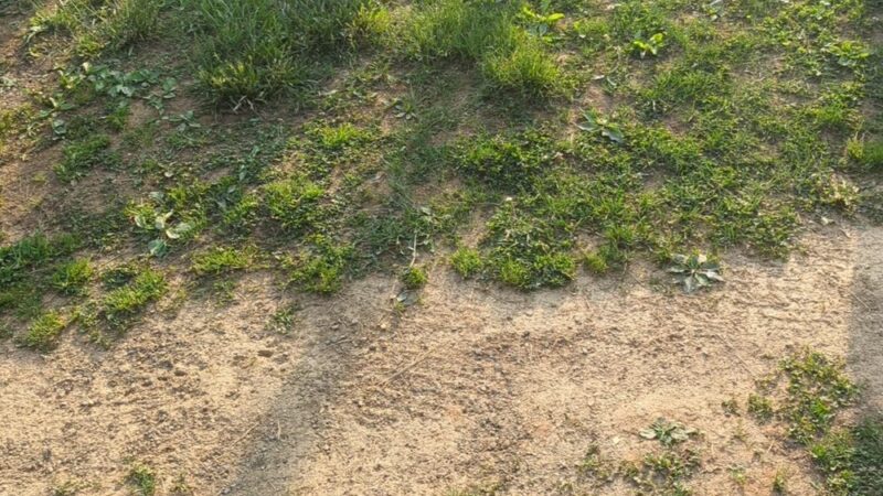 Romney baseball field - Romney, WV