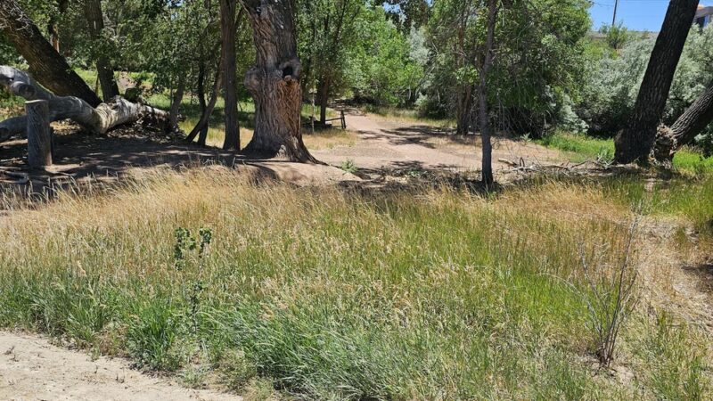 Roosevelt Nature Park & Cottonwood Creek Trail - Roosevelt, UT