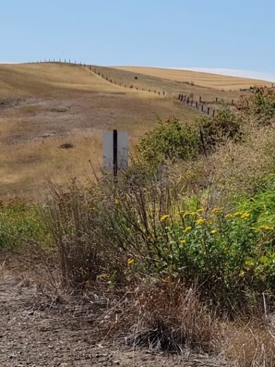 Palouse to Cascade Trail, Rosalia - Rosalia, WA