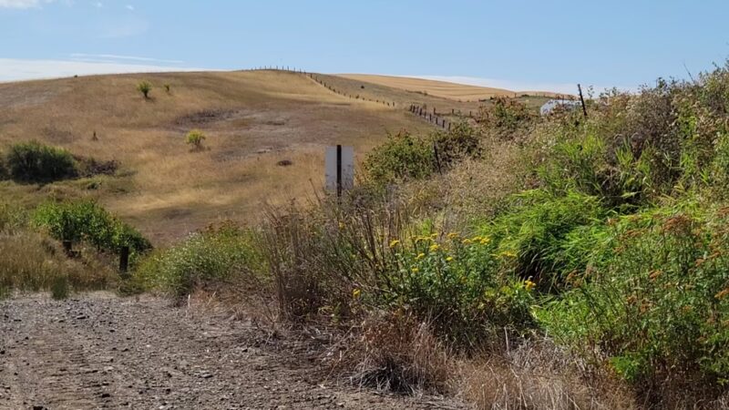 Palouse to Cascade Trail, Rosalia - Rosalia, WA