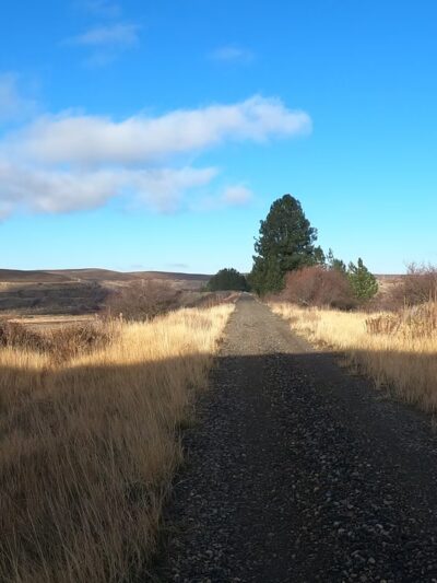 Palouse to Cascade Trail, Rosalia - Rosalia, WA