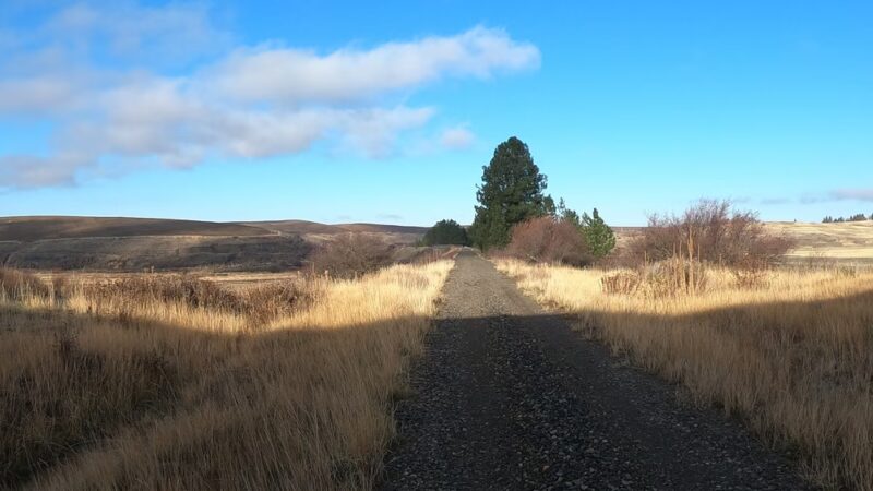 Palouse to Cascade Trail, Rosalia - Rosalia, WA