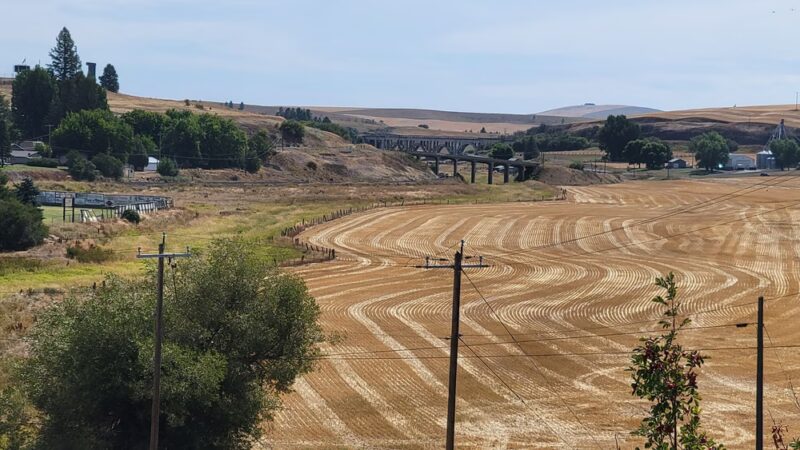 Palouse to Cascade Trail, Rosalia - Rosalia, WA