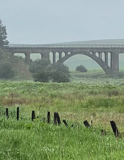 Palouse to Cascade Trail, Rosalia - Rosalia, WA