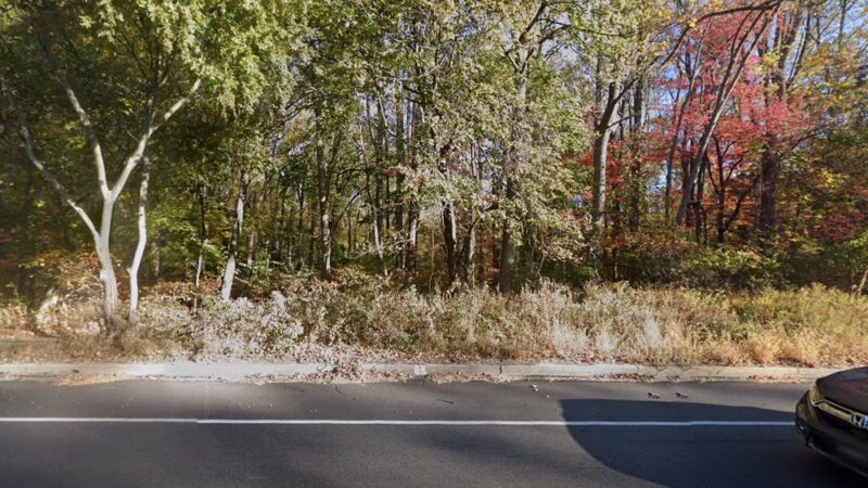 Penza Tract - Smedley Park (Delaware County Park) - Rose Valley, PA