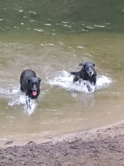 Saul Wildlife Sanctuary - Rose Valley, PA