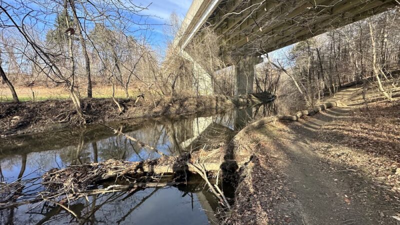 Springfield Trail - Smedley Park Hemlock Road Access Point - Rose Valley, PA
