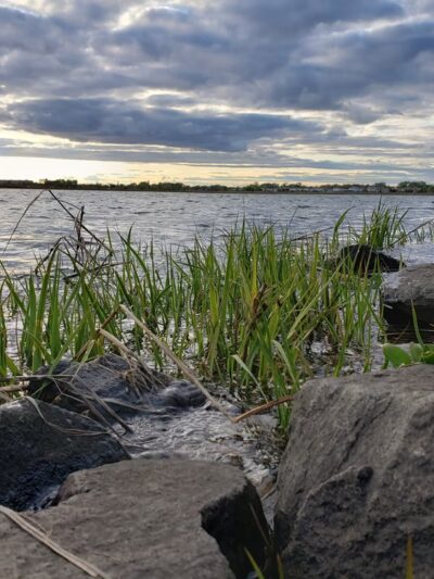Hook Creek Park - Rosedale, NY