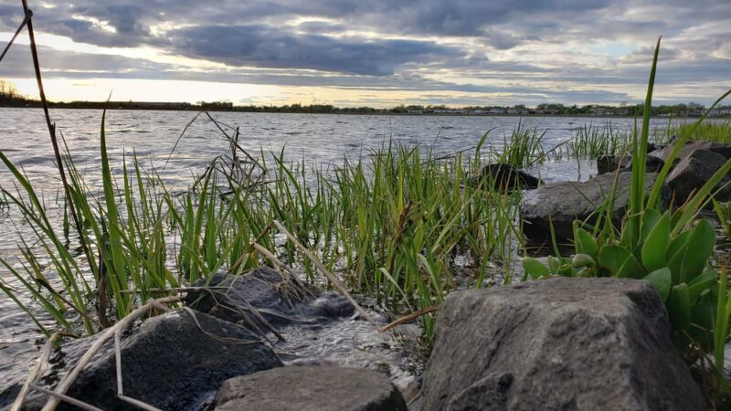 Hook Creek Park - Rosedale, NY