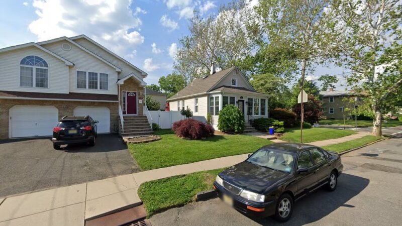 Canine Massage LLC - Roselle Park, NJ