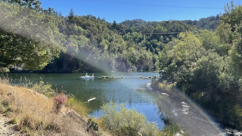 Phoenix Lake - Ross, CA