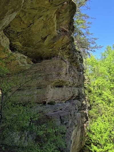 Double Arch - Rosslyn, KY