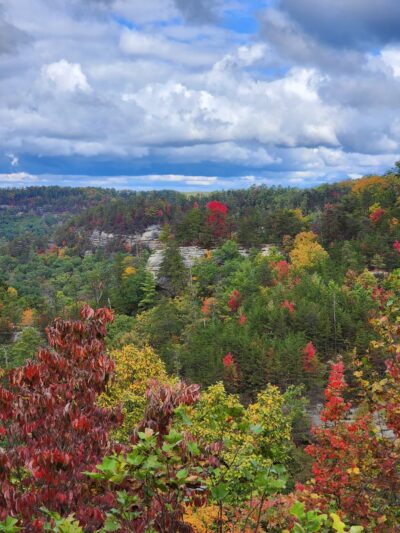 Tunnel Ridge Road Lookout - Rosslyn, KY