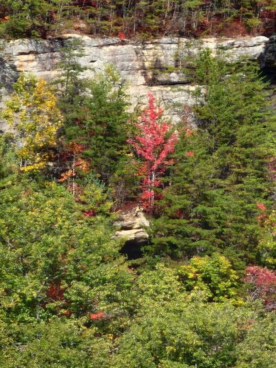 Tunnel Ridge Road Lookout - Rosslyn, KY