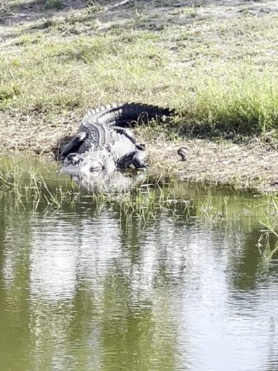 Broadmoor Park - Rotonda West, FL