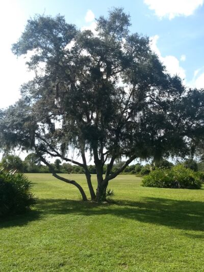 Rotonda Community Park And Preserve - Rotonda West, FL