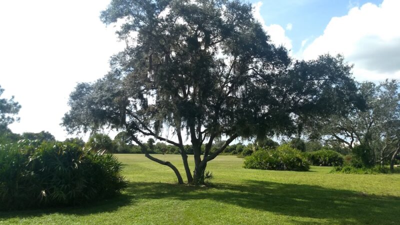 Rotonda Community Park And Preserve - Rotonda West, FL