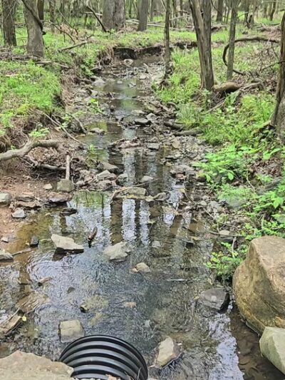 Little River Regional Park and Natural Area - Rougemont, NC