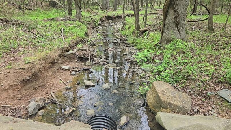 Little River Regional Park and Natural Area - Rougemont, NC