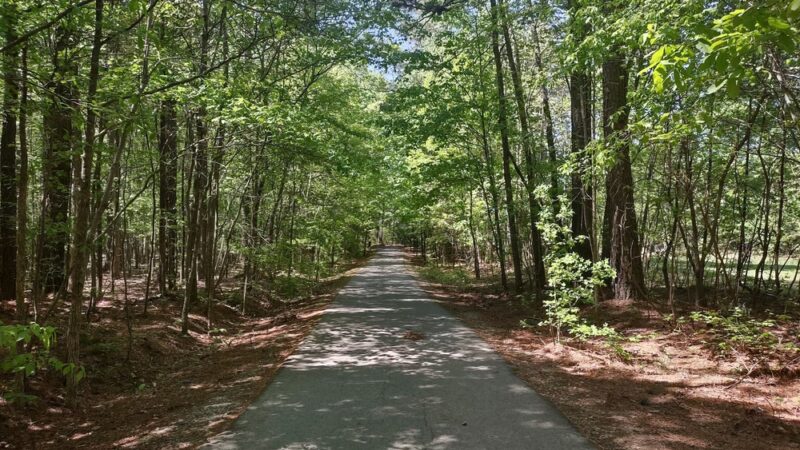 Little River Regional Park and Natural Area - Rougemont, NC