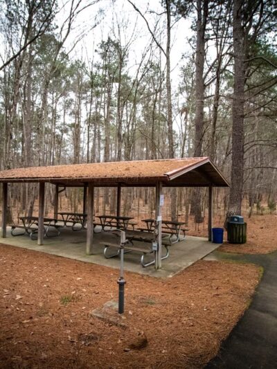 Little River Regional Park and Natural Area - Rougemont, NC
