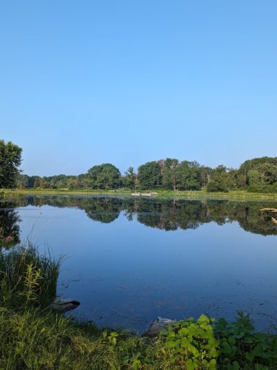 Nippersink Forest Preserve - Round Lake, IL