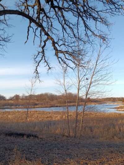 Nippersink Forest Preserve - Round Lake, IL