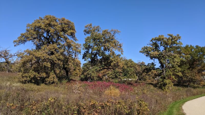 Nippersink Forest Preserve - Round Lake, IL