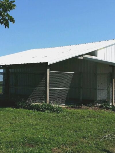 Happy Dog Country Clips and Kennels - Round Lake, MN