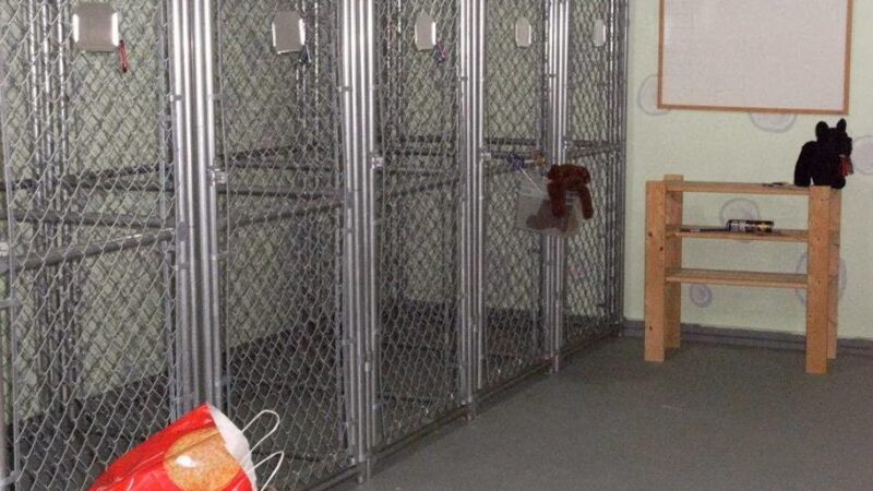 Happy Dog Country Clips and Kennels - Round Lake, MN