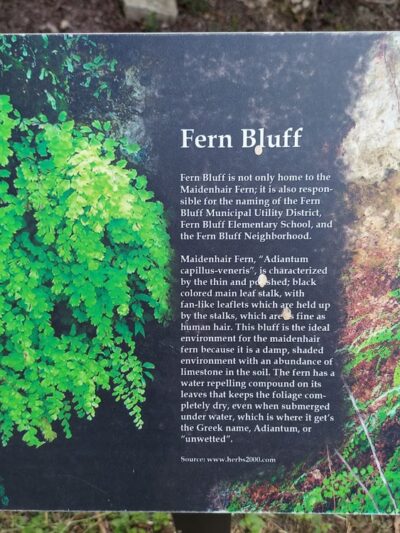 Fern Bluff on Brushy Creek Regional Trail (BCRT) - Round Rock, TX