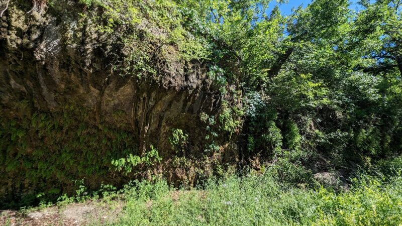 Fern Bluff on Brushy Creek Regional Trail (BCRT) - Round Rock, TX