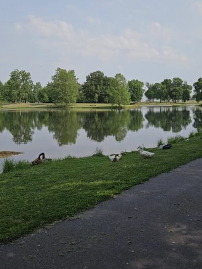 Roxana Community Park District - Roxana, IL