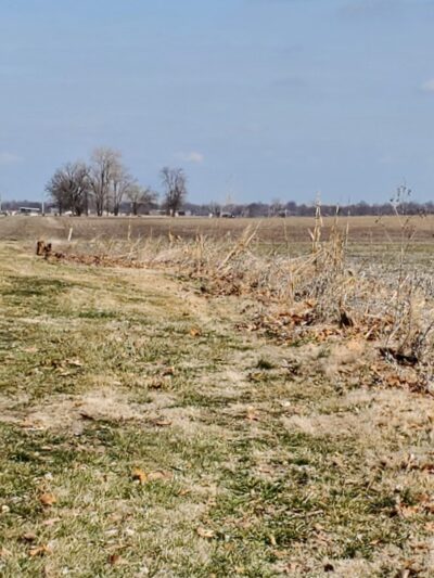 Roxana Community Park District - Roxana, IL