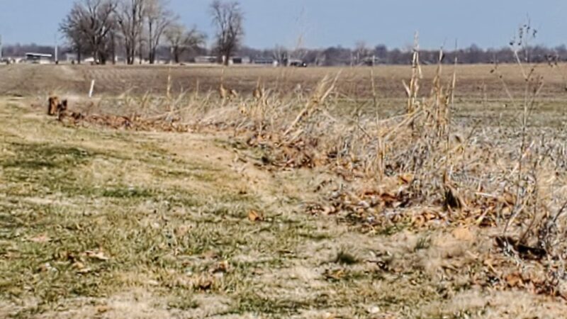 Roxana Community Park District - Roxana, IL