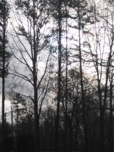 Longhurst Park - Roxboro, NC