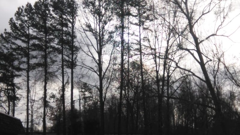 Longhurst Park - Roxboro, NC