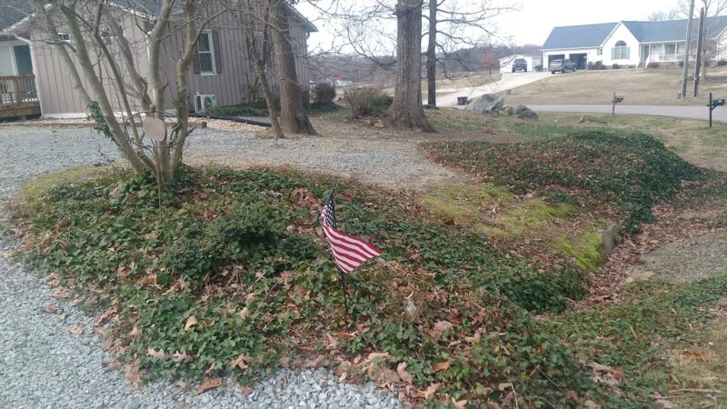 Olive Hill Park - Roxboro, NC