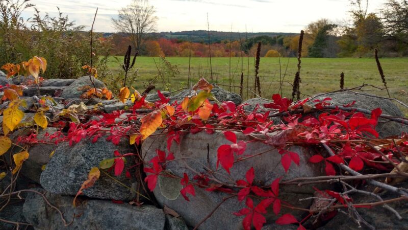 Hurlburt Park - Roxbury, CT