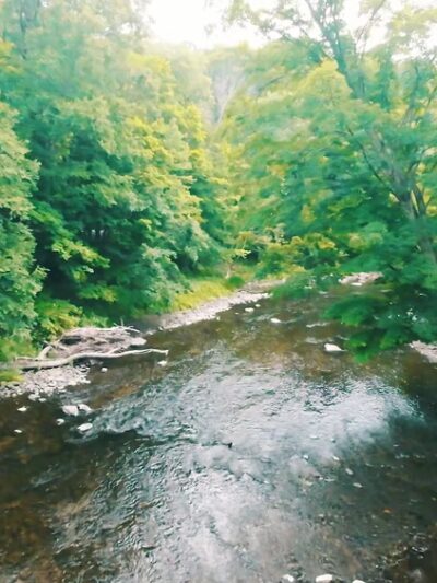 Mine Hill Preserve - Roxbury, CT