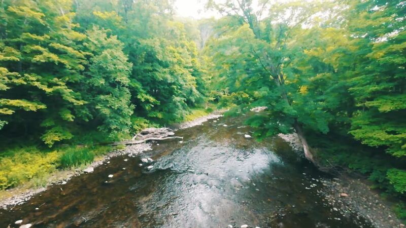 Mine Hill Preserve - Roxbury, CT