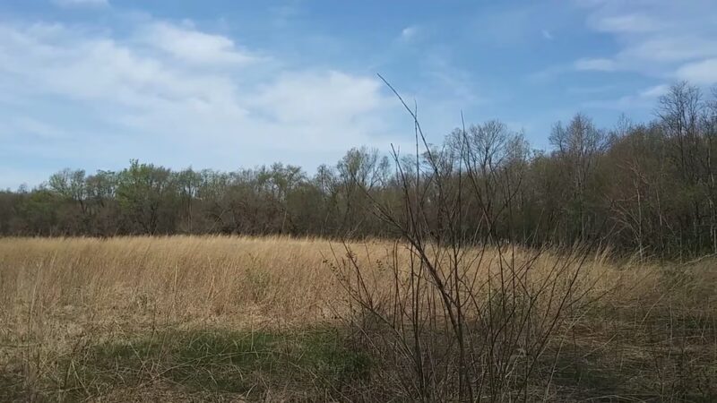 Rea Park - Royal Center, IN