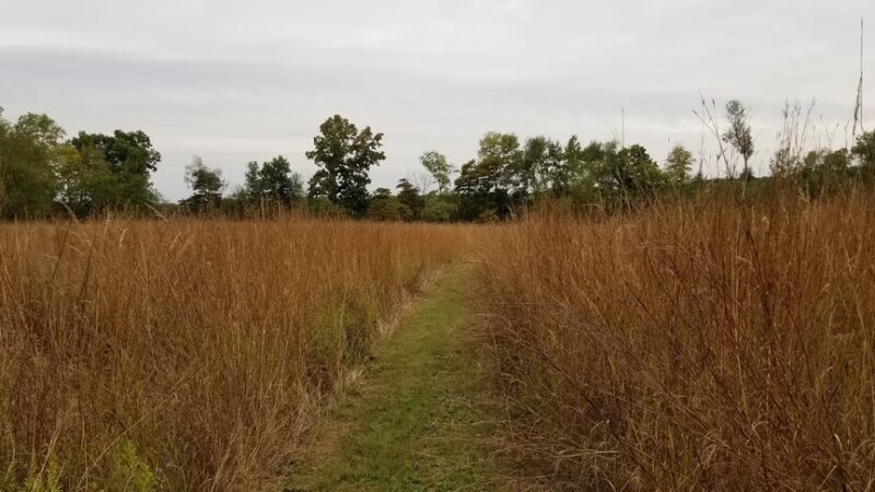 Rea Park - Royal Center, IN